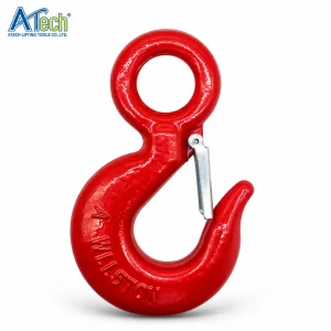 EYE HOOK WITH LATCH